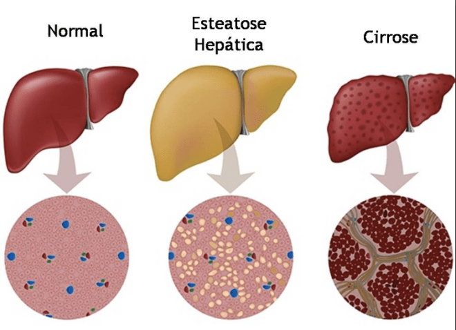 Captura de tela 2016-04-26 20.40.50
